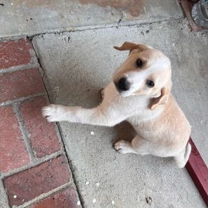 Meet your Posher, Randolph